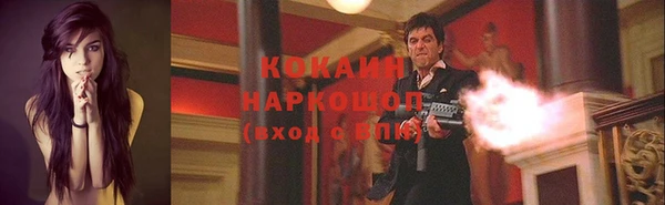 гашик Алексеевка