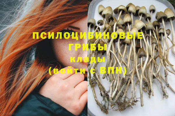 гашик Алексеевка