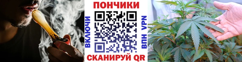Каннабис гибрид  Полярные Зори 
